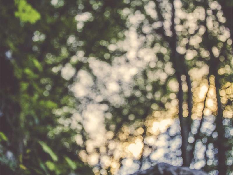 混沌理论<br>aamotnk.cn 奇异吸引子